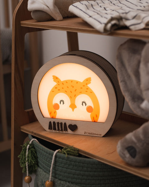 owl light night 